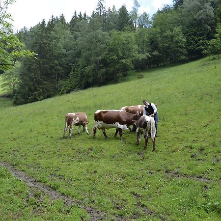 Panoramapension Lerchner Bad Kleinkirchheim Exteriör bild
