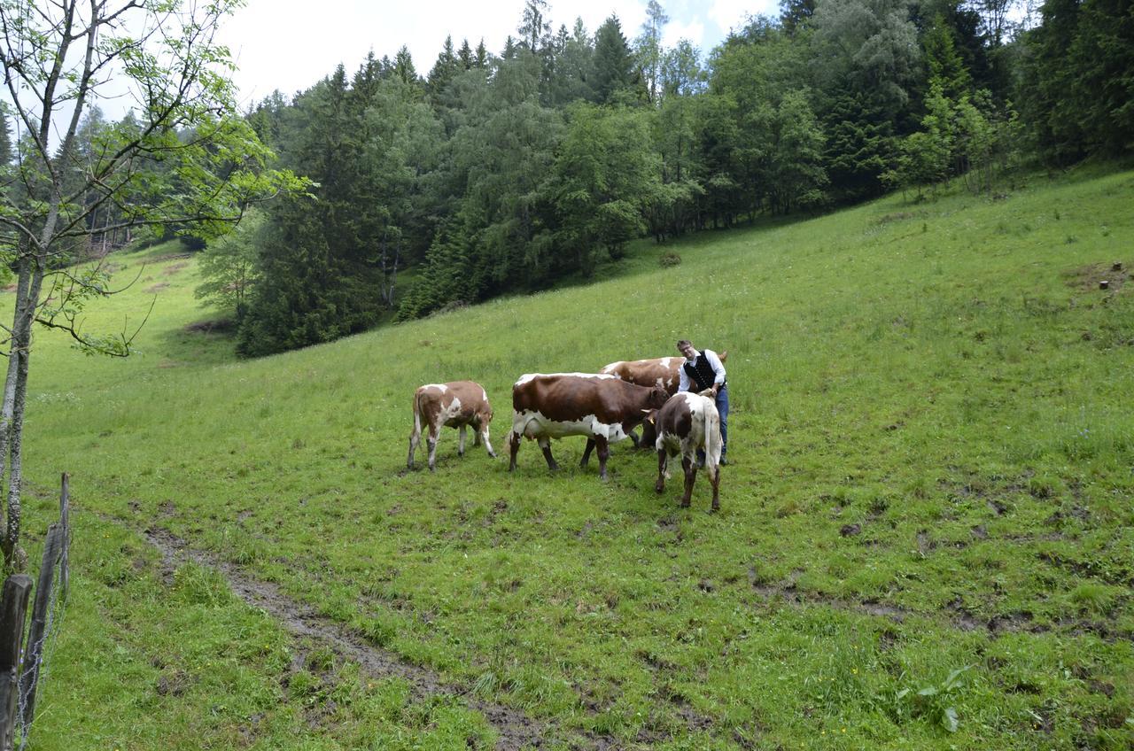 Panoramapension Lerchner Bad Kleinkirchheim Exteriör bild